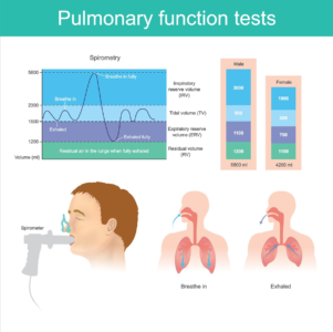 Lung Volume Chart